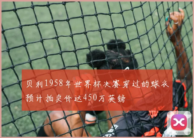 贝利1958年世界杯决赛穿过的球衣预计拍卖价达450万英镑