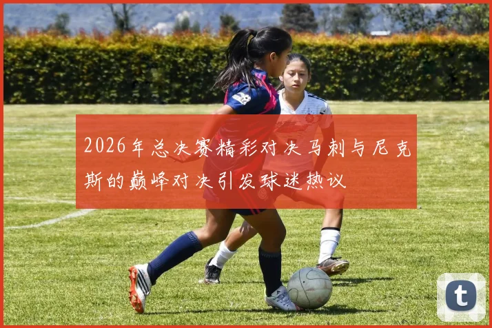 2026年总决赛精彩对决马刺与尼克斯的巅峰对决引发球迷热议